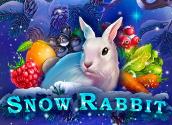 Слот Snow Rabbit — виграш 8 120 ₴ у Dragon Gold казино